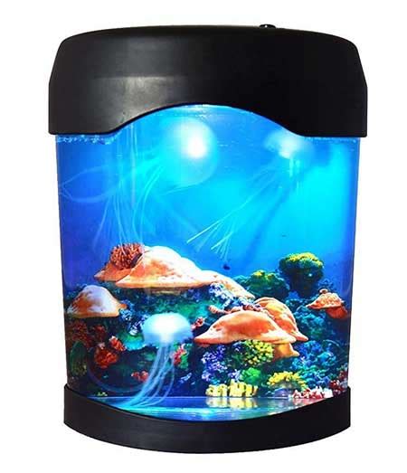 tank with fake fish for cats to watch|fish tank for cats to watch.